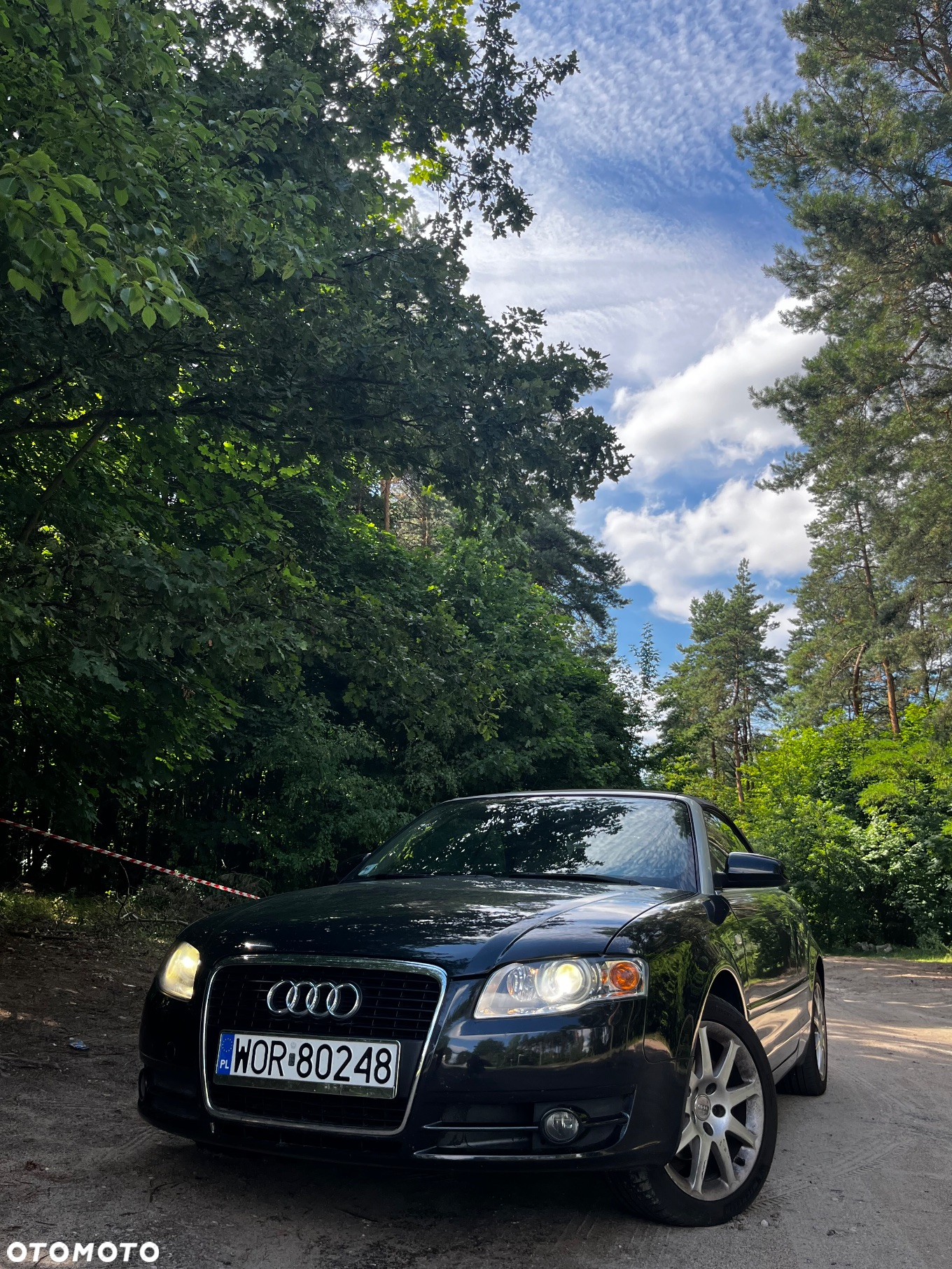 Audi A4 Cabriolet 2.0 TDI DPF - 15
