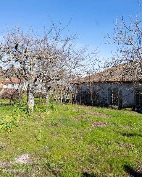 Encantadora Casa de Aldeia em Pedra (Granito) – T4 em Sendim, Tabuaço - Grande imagem: 2/12