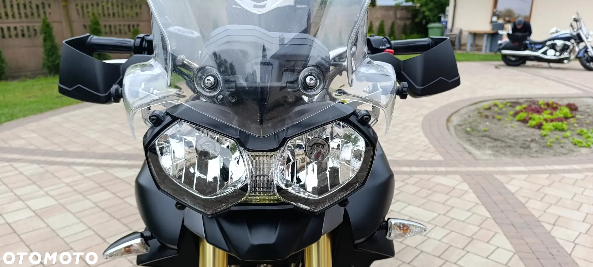 Triumph Tiger - 20