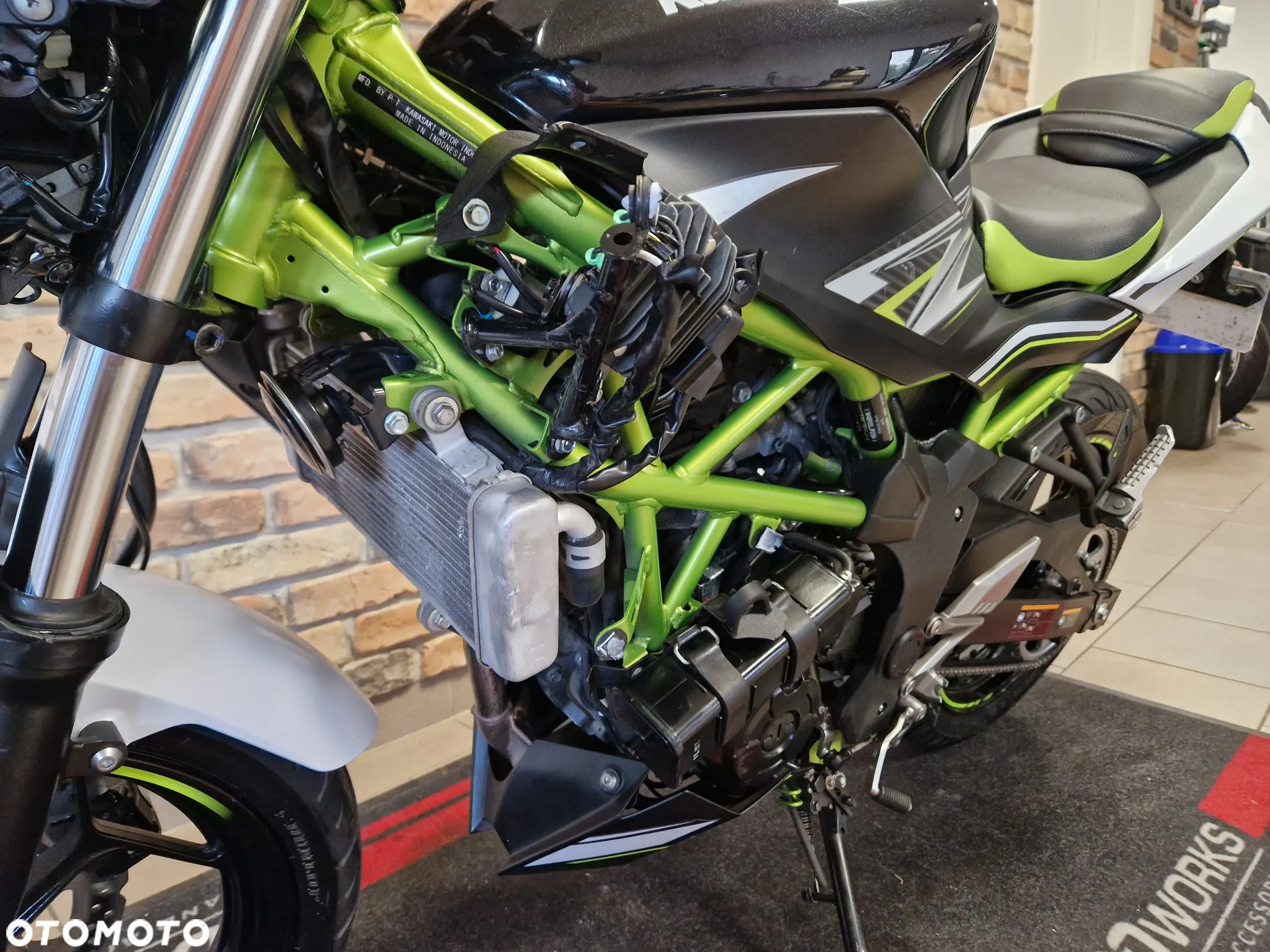 Kawasaki Z - 19