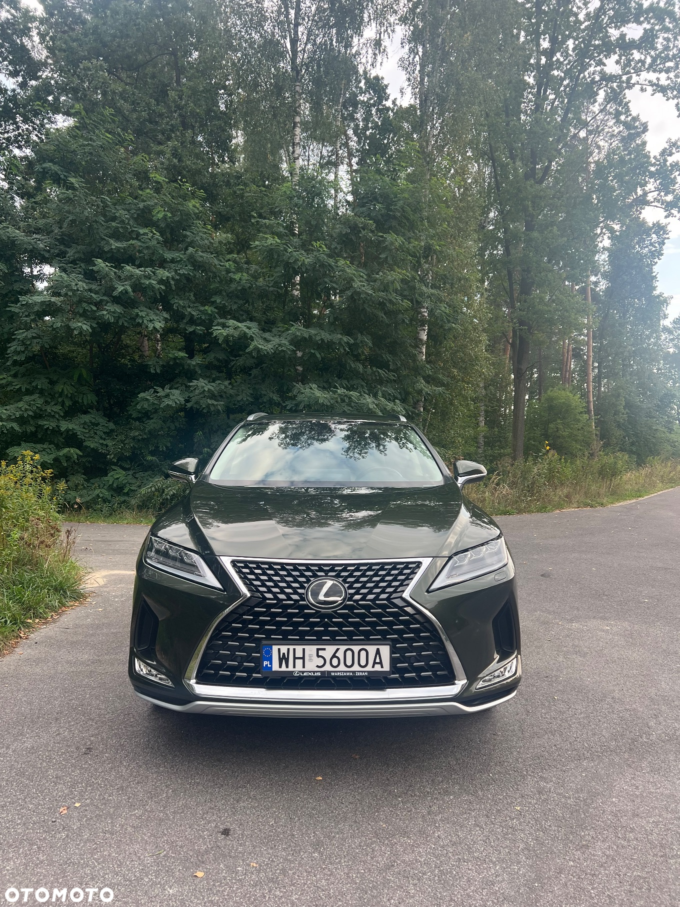 Lexus RX 300 Business Edition + - 3