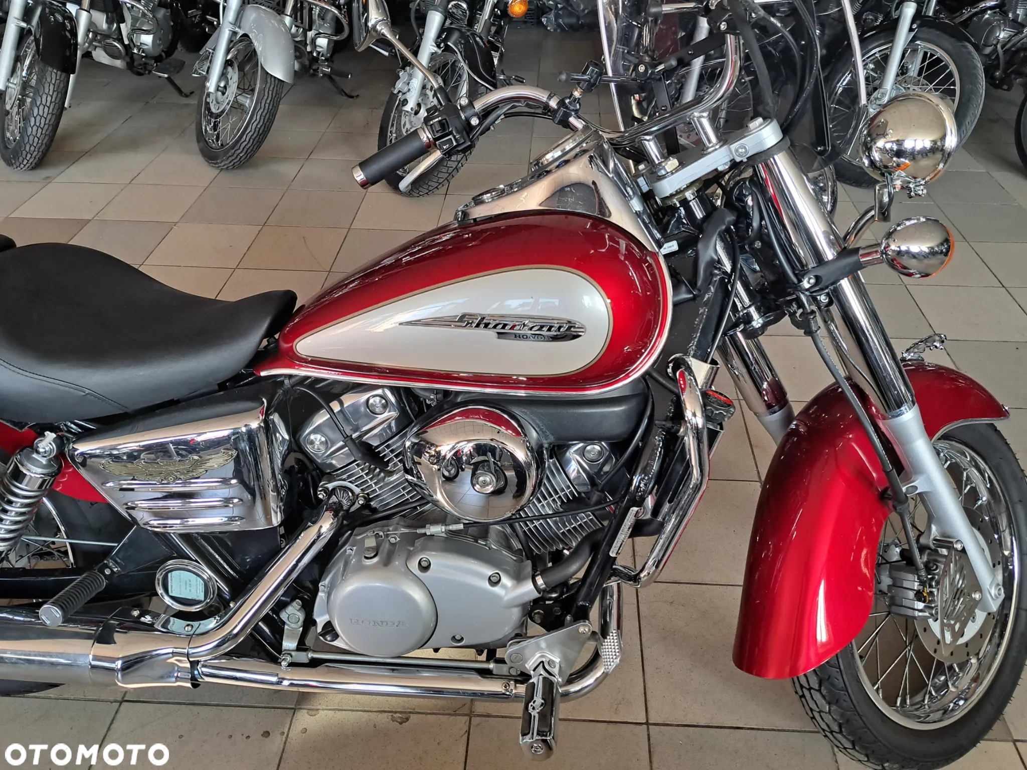 Honda Shadow - 19