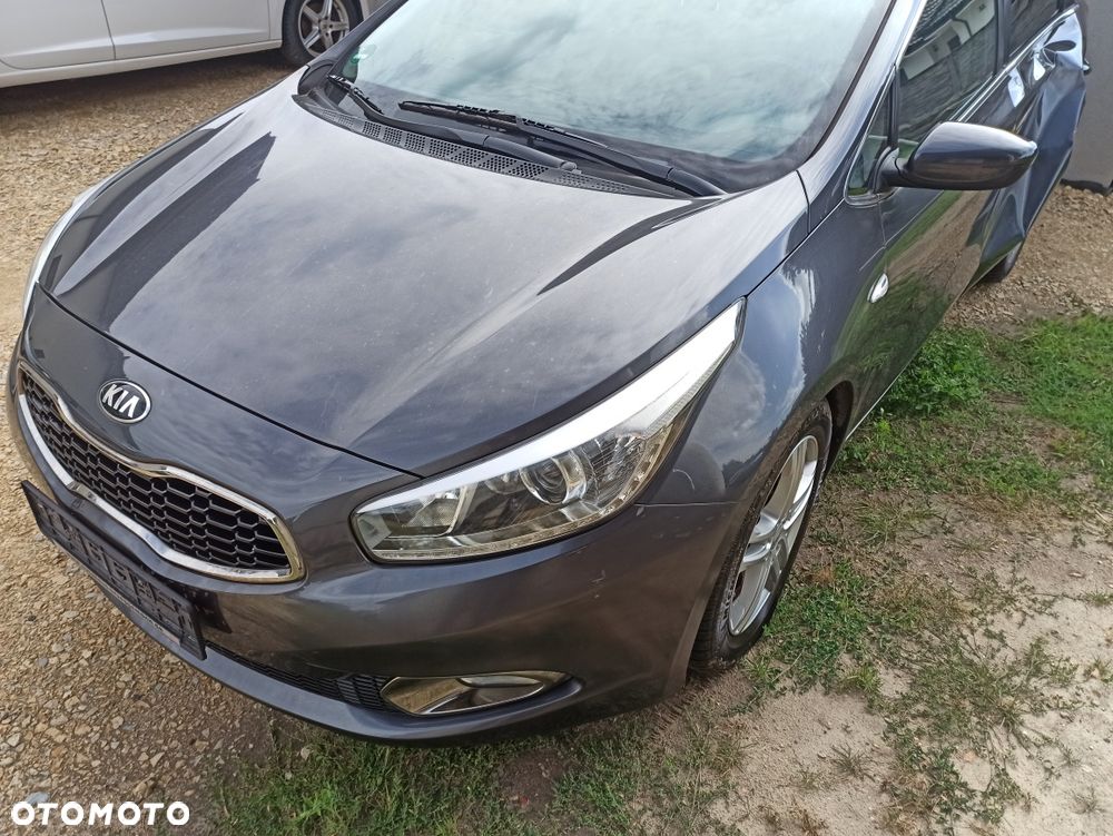 Kia Ceed - 1