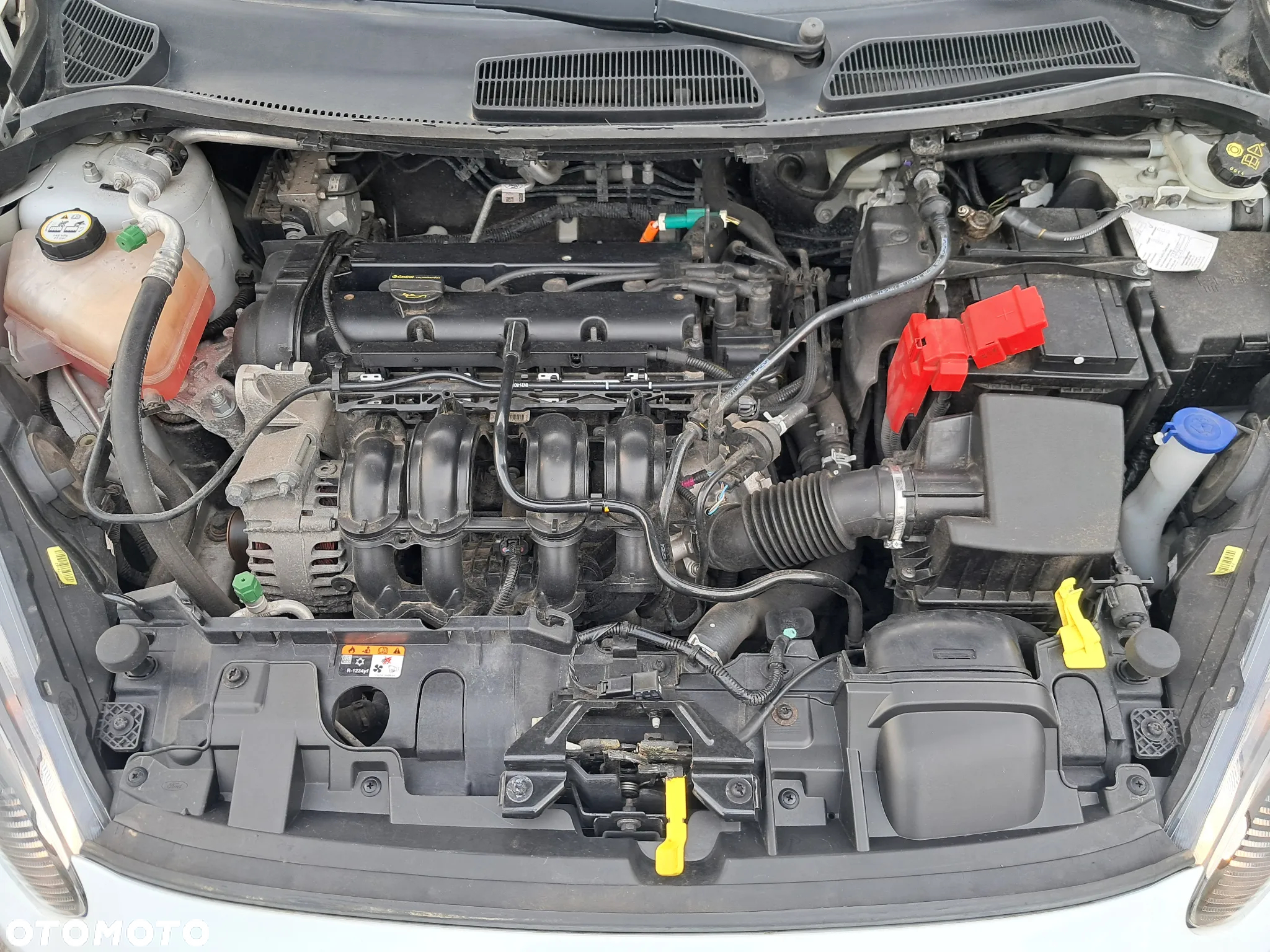 Ford Fiesta 1.25 Celebration - 33