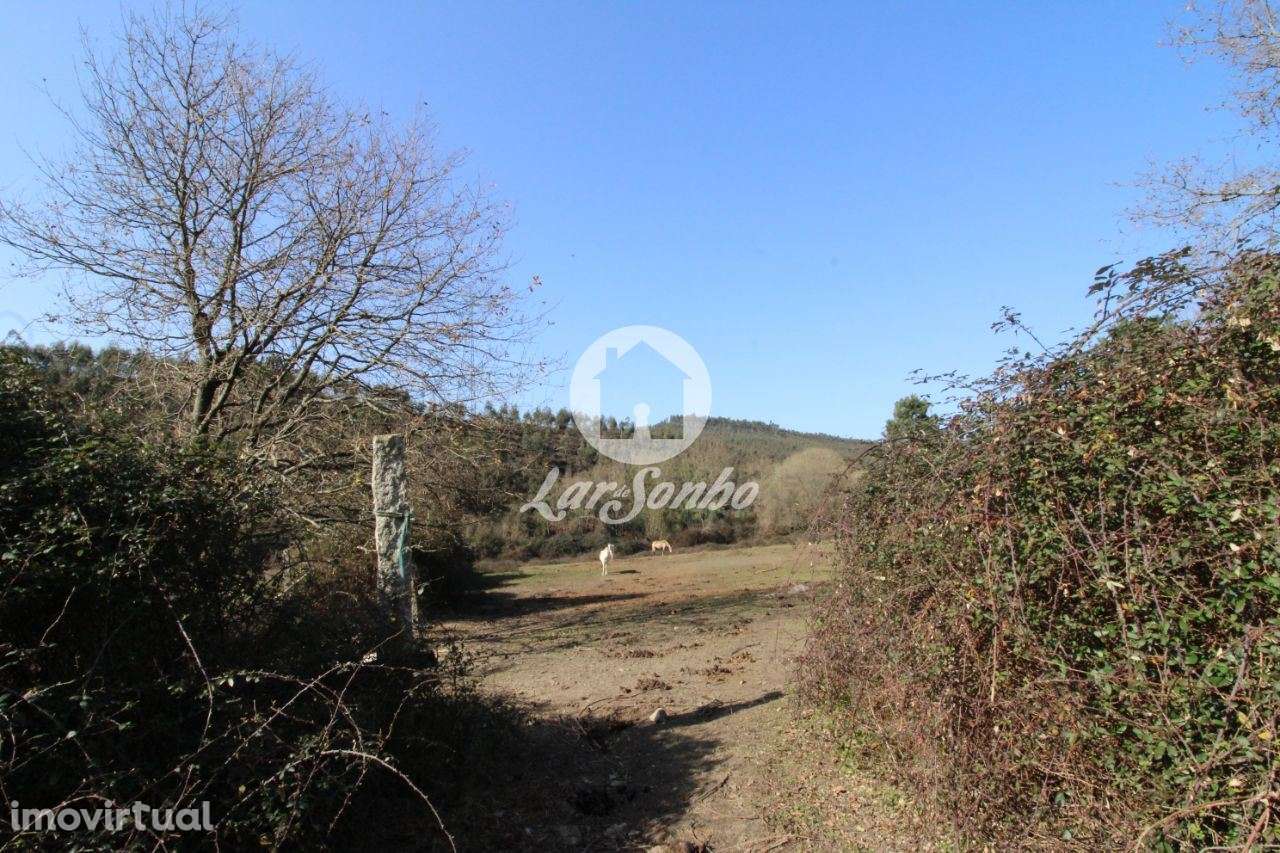 Terreno agrícola com 6.000m2 em Ribeirão - Vila Nova de Famalicão - Grande imagem: 2/4