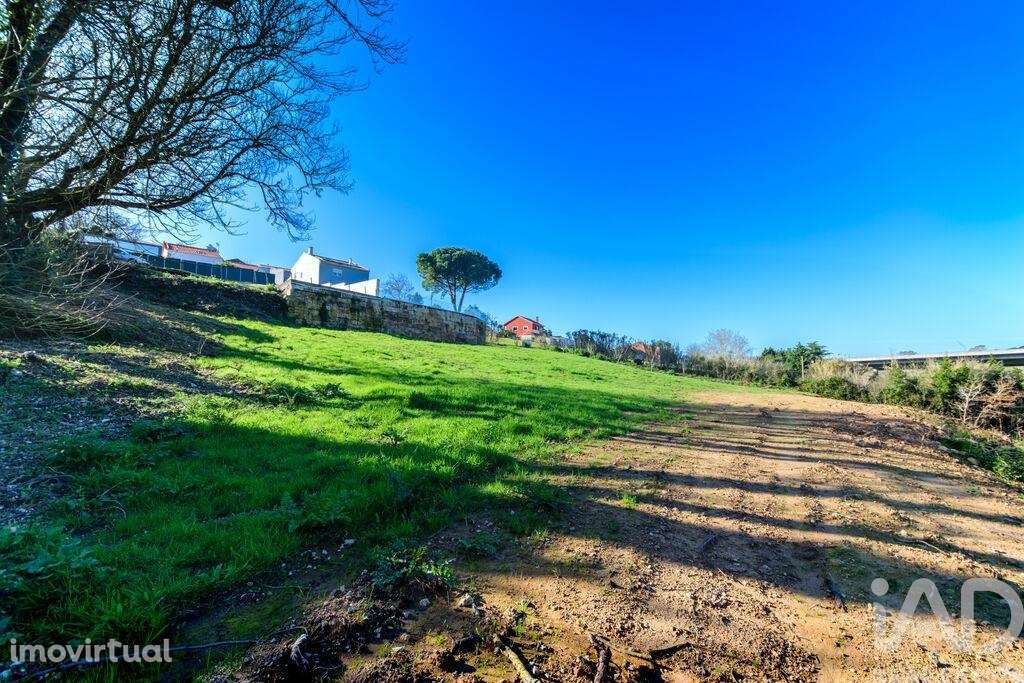 Terreno em Caldas da Rainha - Nossa Senhora do Pópulo, Coto e São Greg - Grande imagem: 2/22