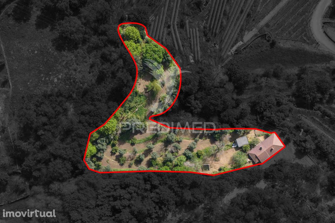 MORADIA COM TERRENO (AMARES) - Grande imagem: 5/40