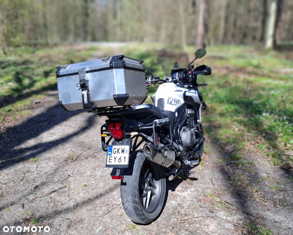 Triumph Tiger - 5