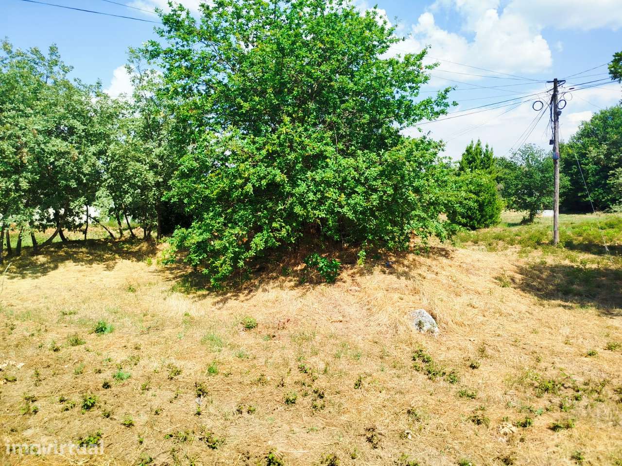 Terreno Para Construção - Orgens - Viseu - Grande imagem: 3/6