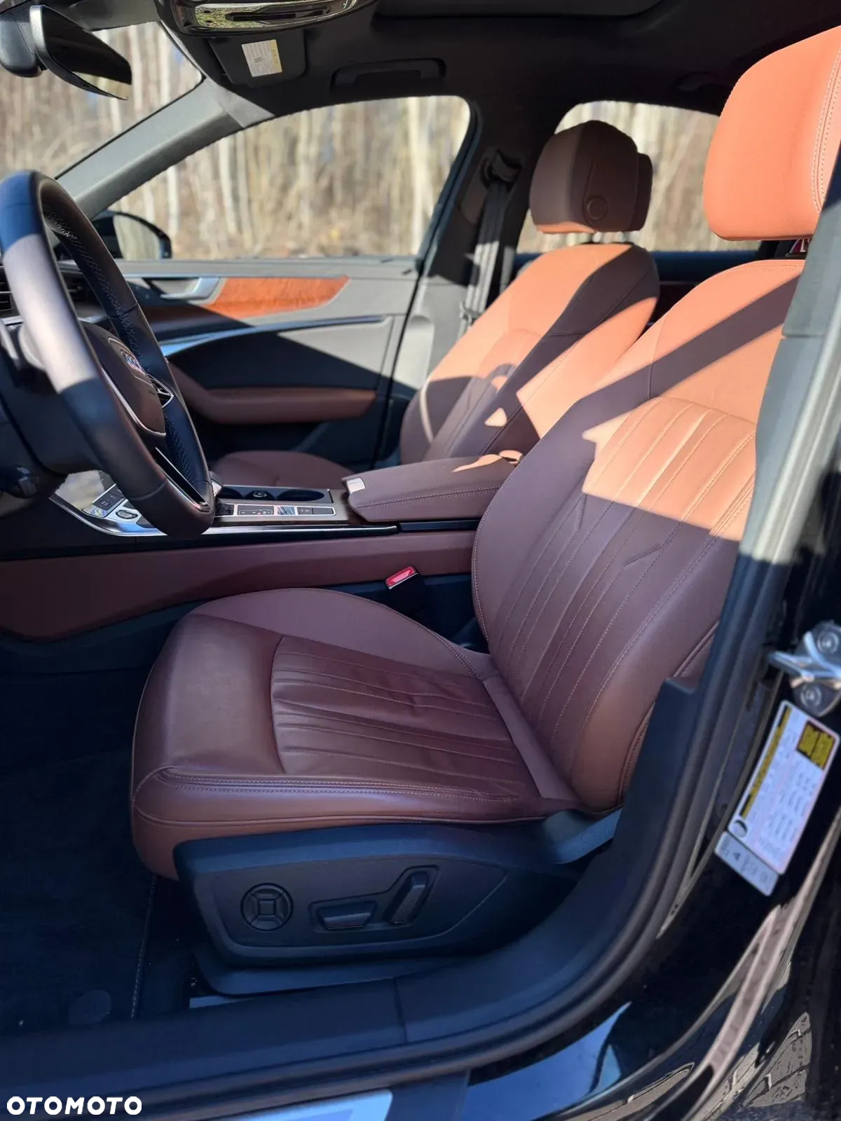 Audi A6 45 TFSI quattro S tronic advanced - 19
