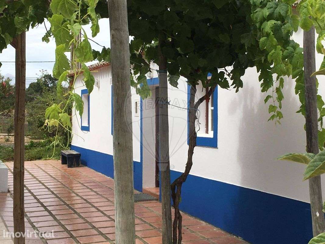 Quinta T3 para venda - Grande imagem: 4/26