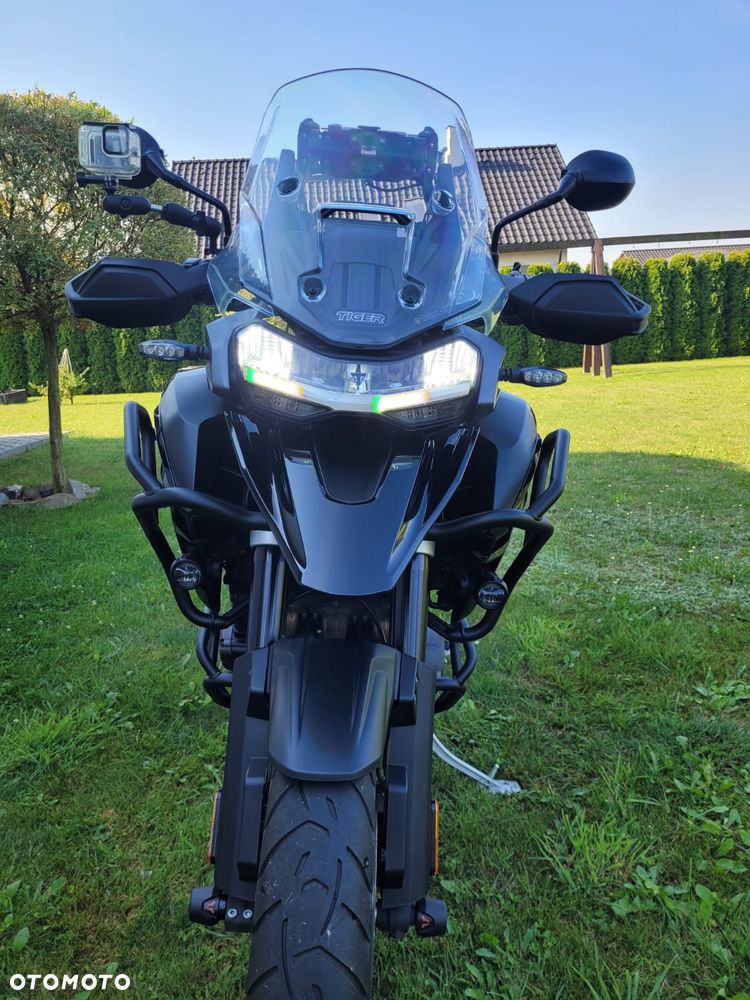 Triumph Tiger - 10