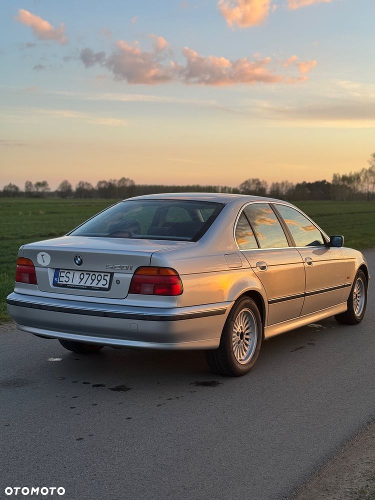 BMW Seria 5 - 13