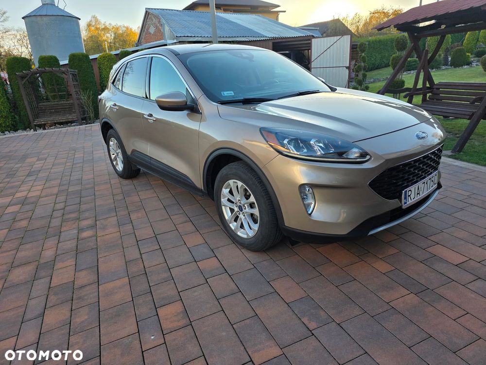 Ford Escape - 2