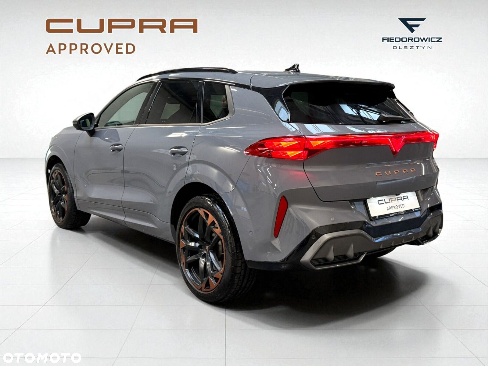 Cupra Terramar 2.0 TSI 4Drive VZ DSG - 5