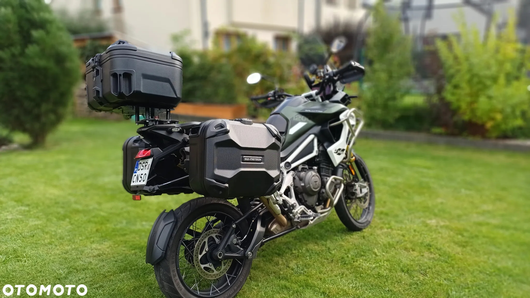 Triumph Tiger
