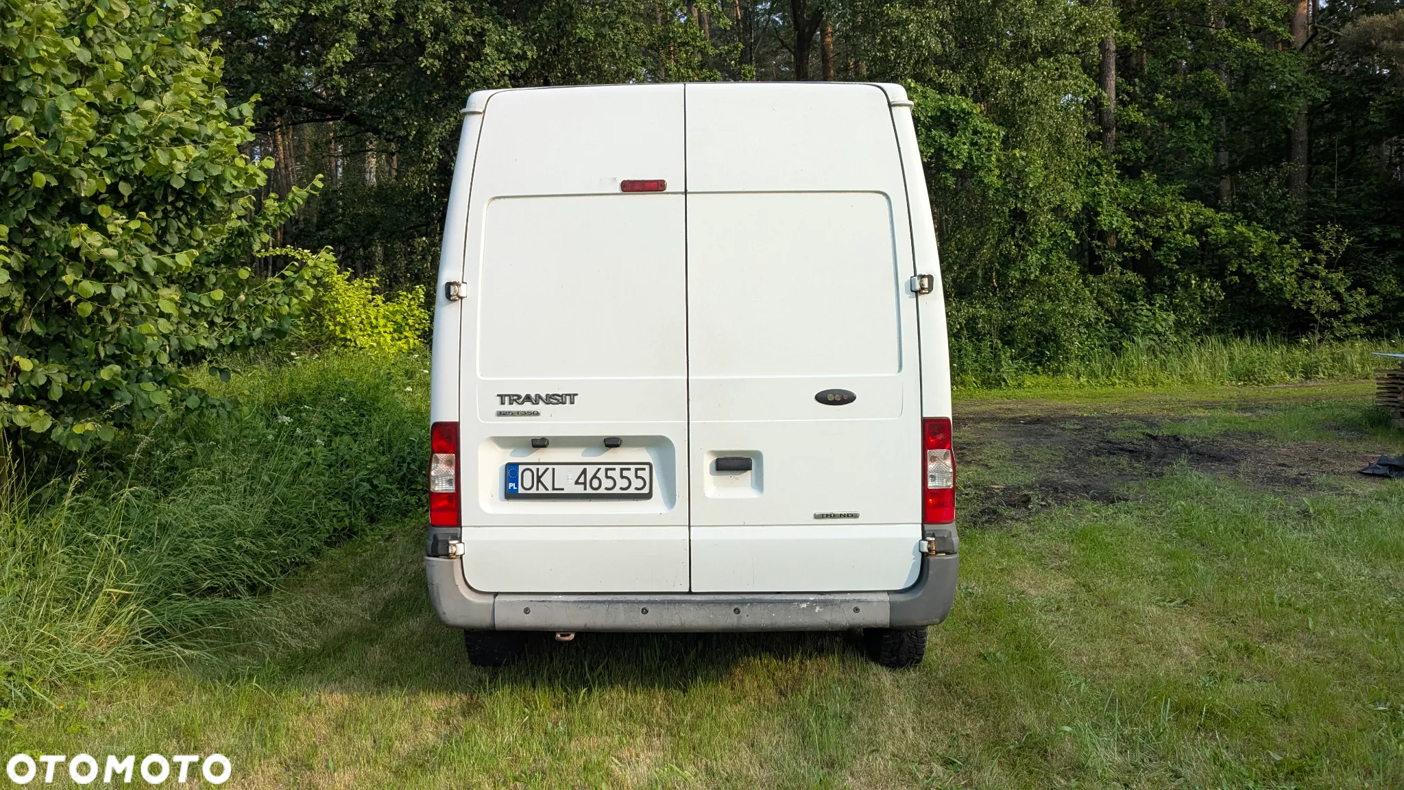 Ford Transit - 4