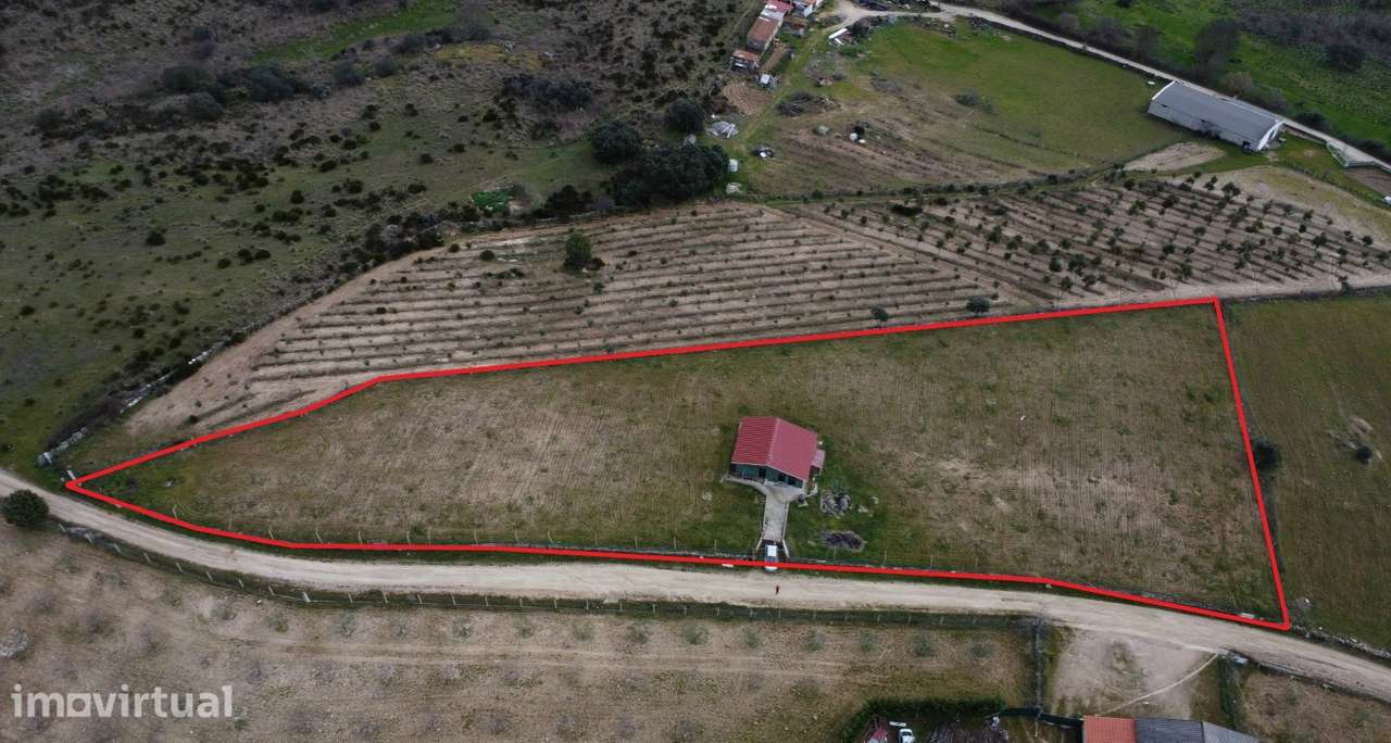 Terreno com arvores de fruto e uma construção, em Miranda do Douro. - Grande imagem: 2/35