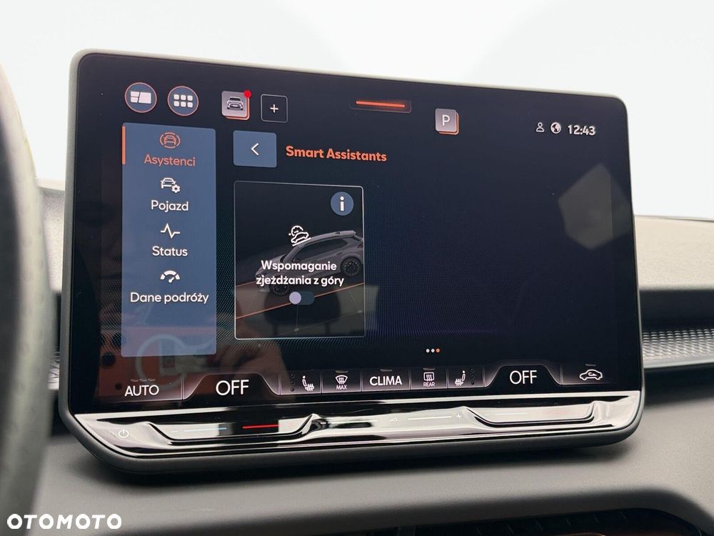 Cupra Terramar 2.0 TSI 4Drive DSG - 30
