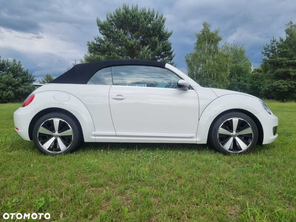 Volkswagen Beetle - 8