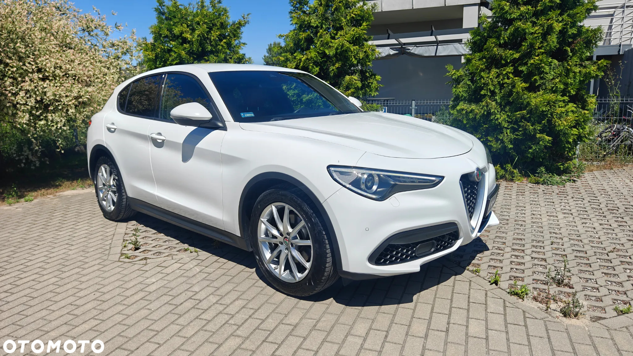 Alfa Romeo Stelvio 2.0 Turbo Executive Q4 - 6