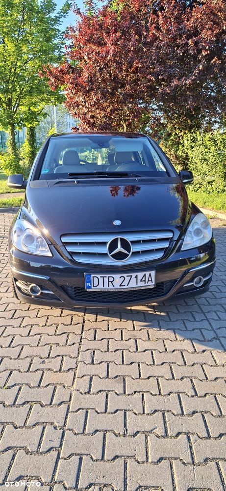 of the car