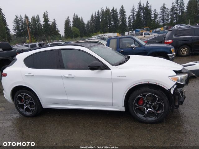 Alfa Romeo Stelvio 2.0 Turbo Veloce Q4 - 8