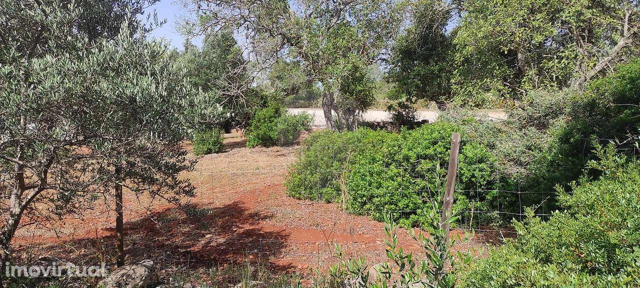 Terreno  para venda - Grande imagem: 2/12