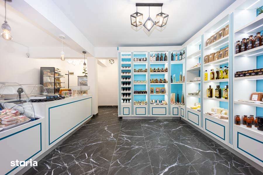 Spatiu comercial 32 mp Lunca Cetatuii Cartier Astoria - Imagine principală: 4/19