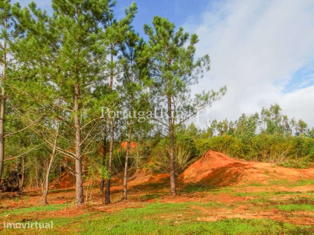 Terreno com 30.000m2 junto a Coimbra - Grande imagem: 3/13