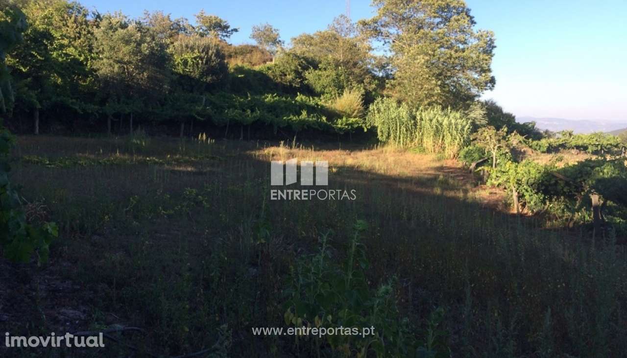 Venda Terreno, Valadares, Baião - Grande imagem: 4/24