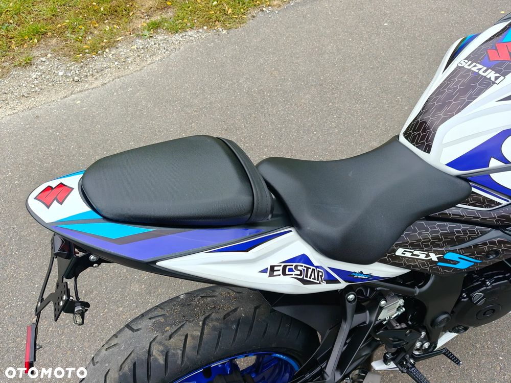 Suzuki GSX - 18