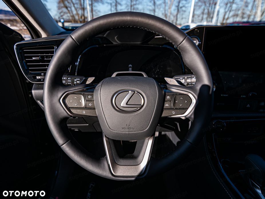 Lexus NX - 10