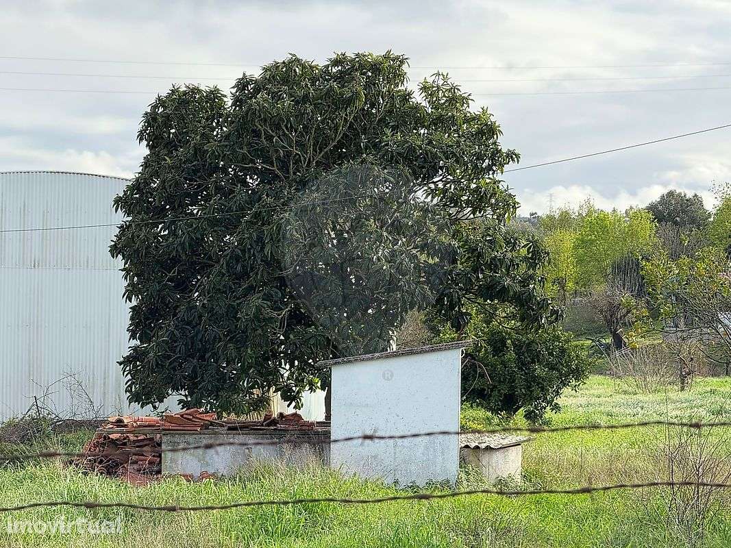 Terreno  para venda - Grande imagem: 4/8