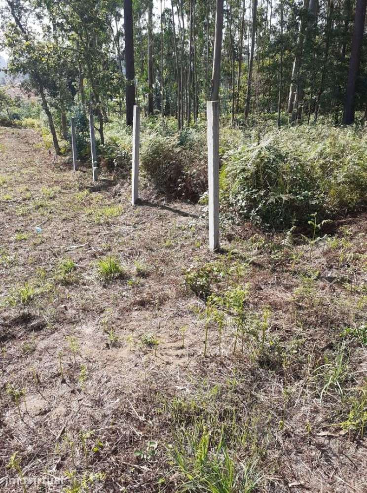 Terreno em Argoncilhe com 1100 m2 - Grande imagem: 2/9