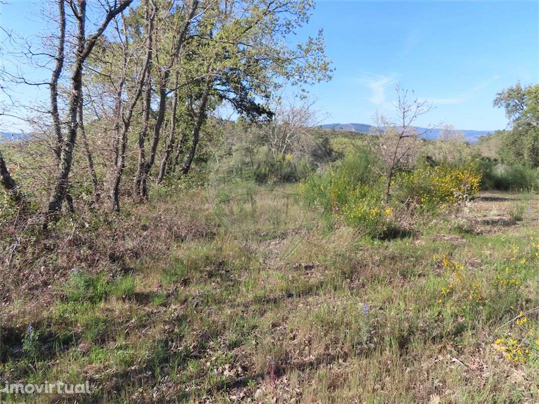 Quinta  para venda - Grande imagem: 4/22