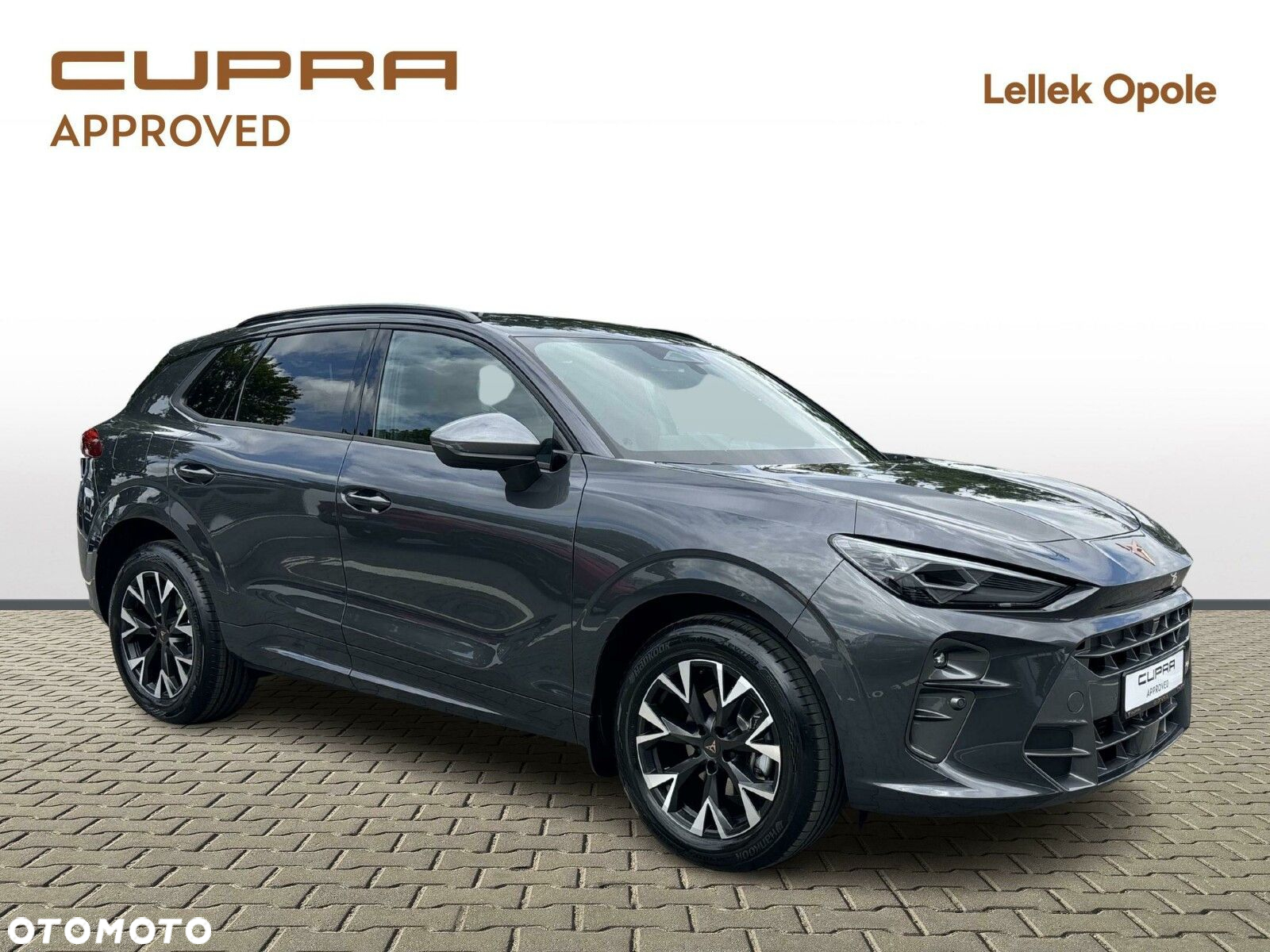 Cupra Terramar - 7