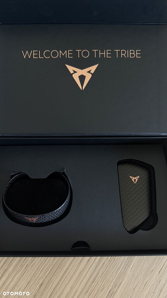 Cupra Formentor - 39