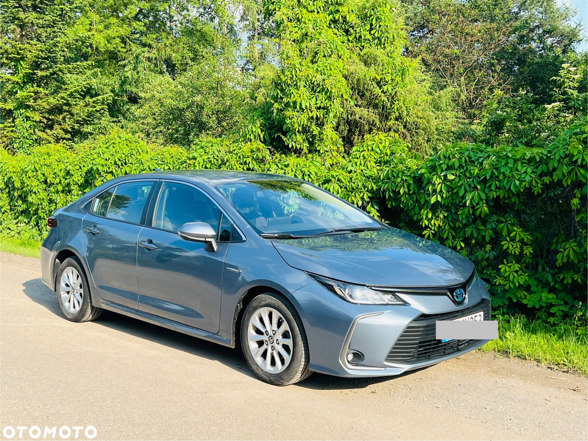 Toyota Corolla 1.8 Hybrid Comfort - 7
