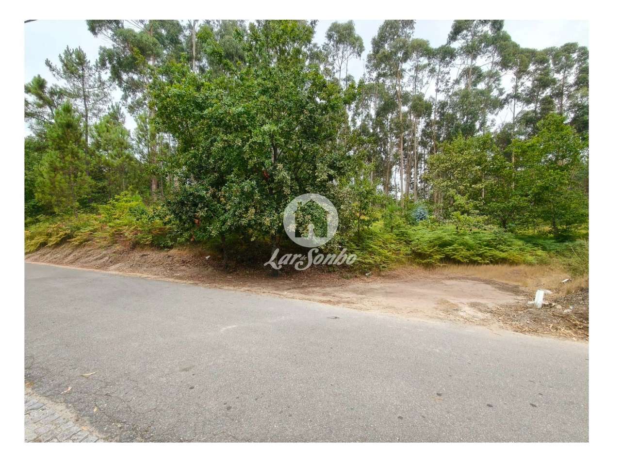 Terreno construção Regadas Fafe - Grande imagem: 4/4