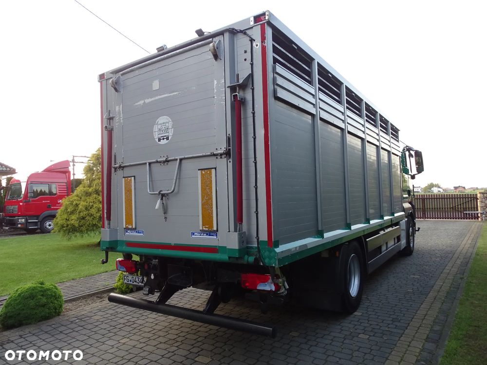 MAN TGX 18.400 DO ŻYWCA / ZWIERZĄT / BYDŁA / Z NIEMIEC / - 5