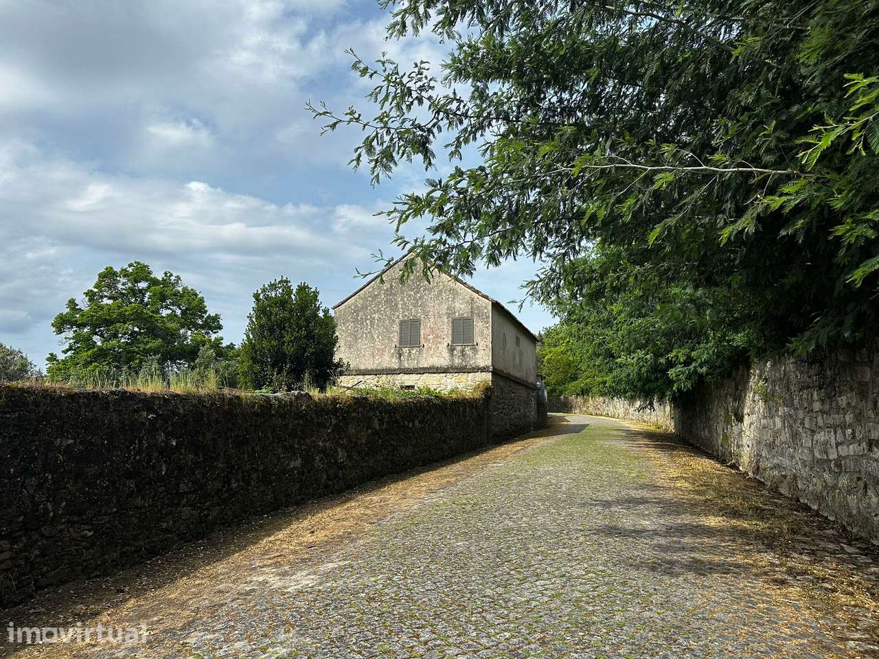 Fantástica quintinha em Serreleis, Viana do Castelo. - Grande imagem: 3/13