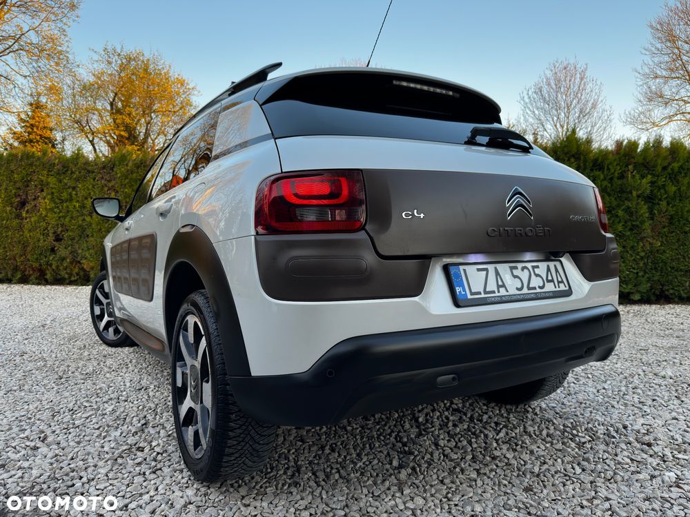 Citroën C4 Cactus 1.2 PureTech Shine Edition - 12
