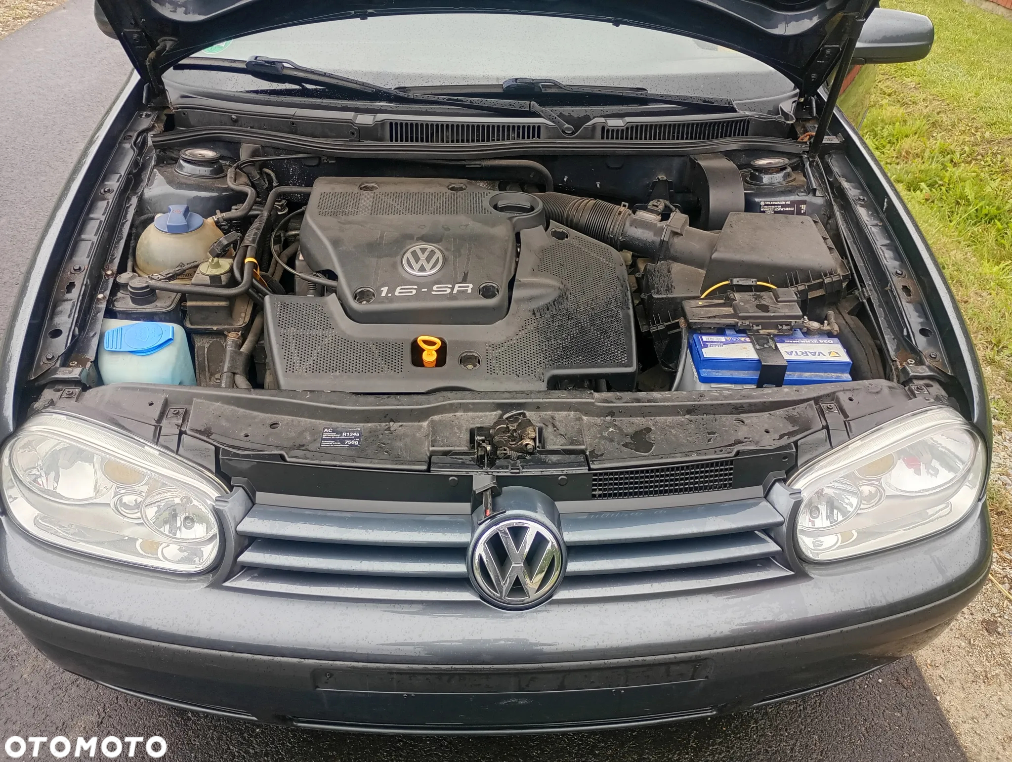 Volkswagen Golf - 8