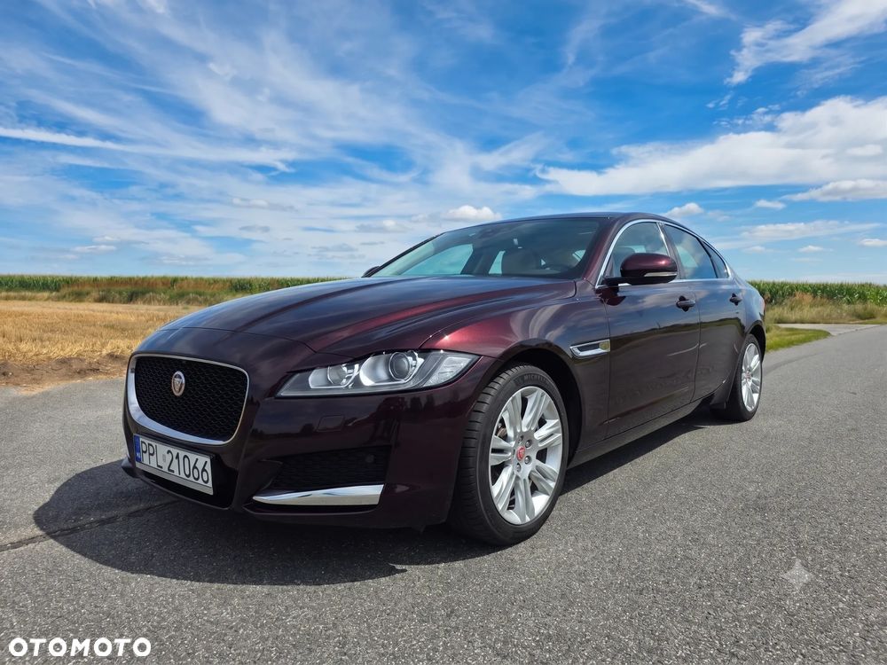 Jaguar XF 2.0 T Prestige - 7