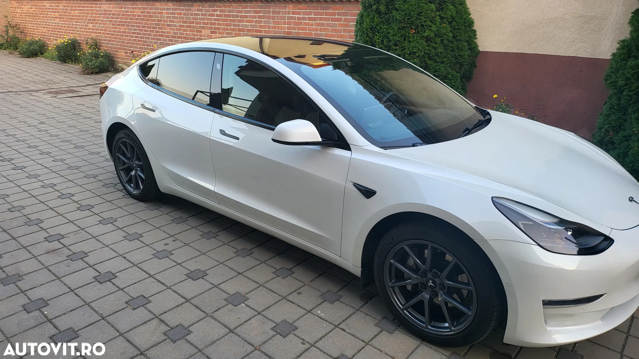 Tesla Model 3 Langstreckenbatterie Allradantrieb Dual Motor Performance - 6