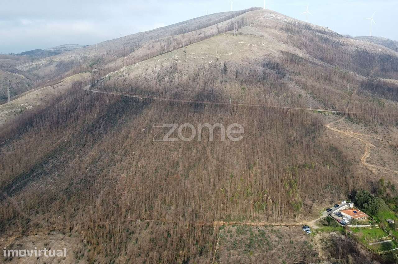 Terreno florestal urbanizável com 42.000 m2 - Rio Mau, Penafiel - Grande imagem: 4/12