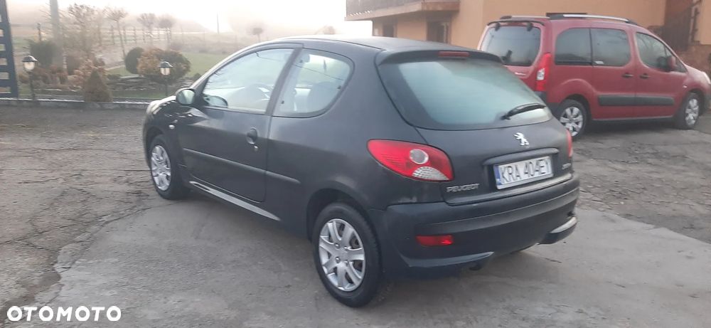 Peugeot 206 plus - 18