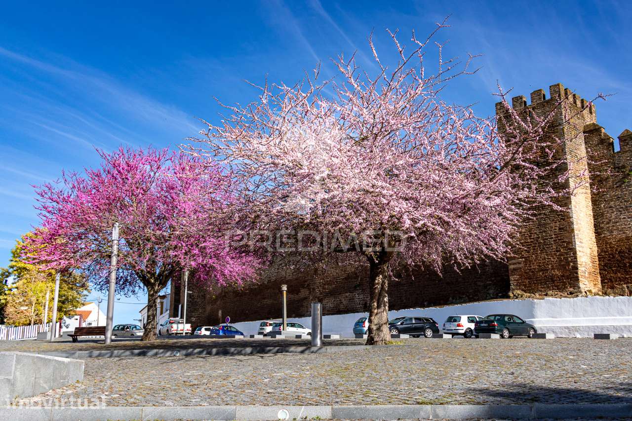 Espaço comercial na Praça da República - Grande imagem: 4/5