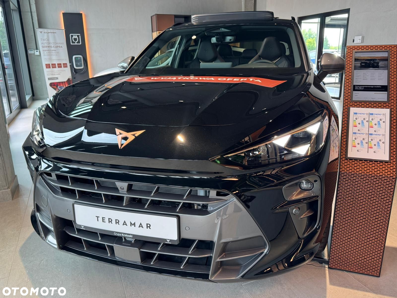 Cupra Terramar - 5